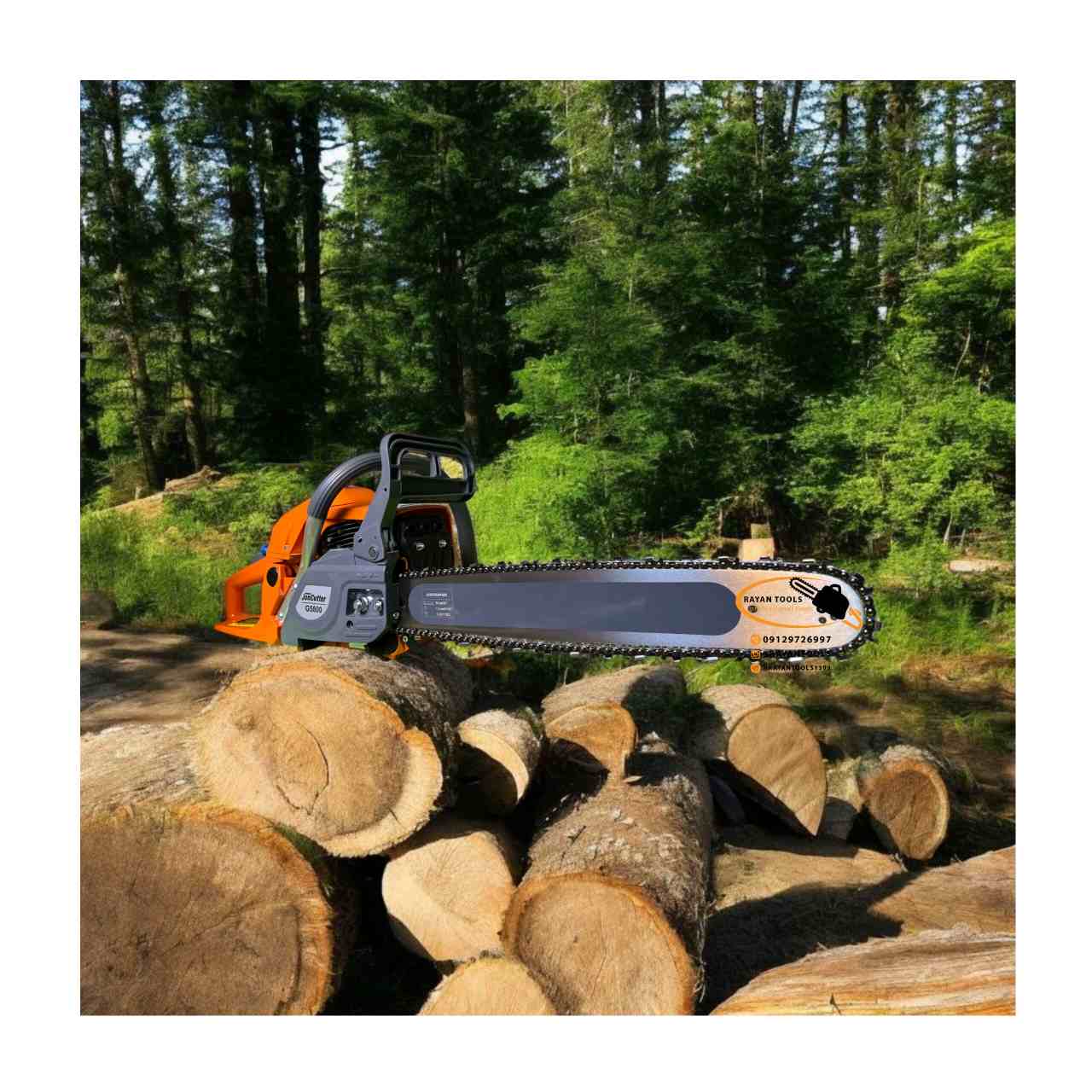 InShot_20251102_092246333