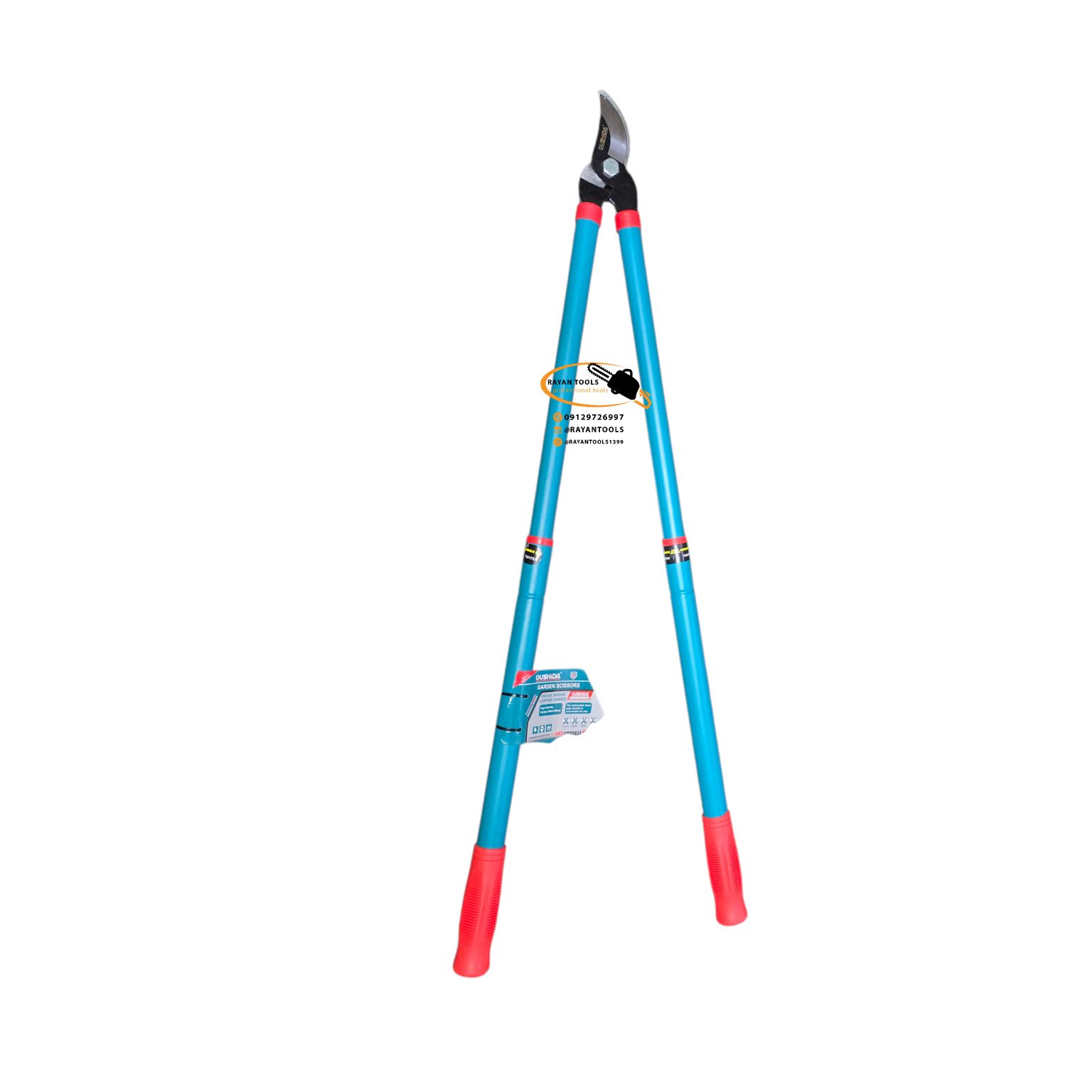 InShot_20251215_231611293