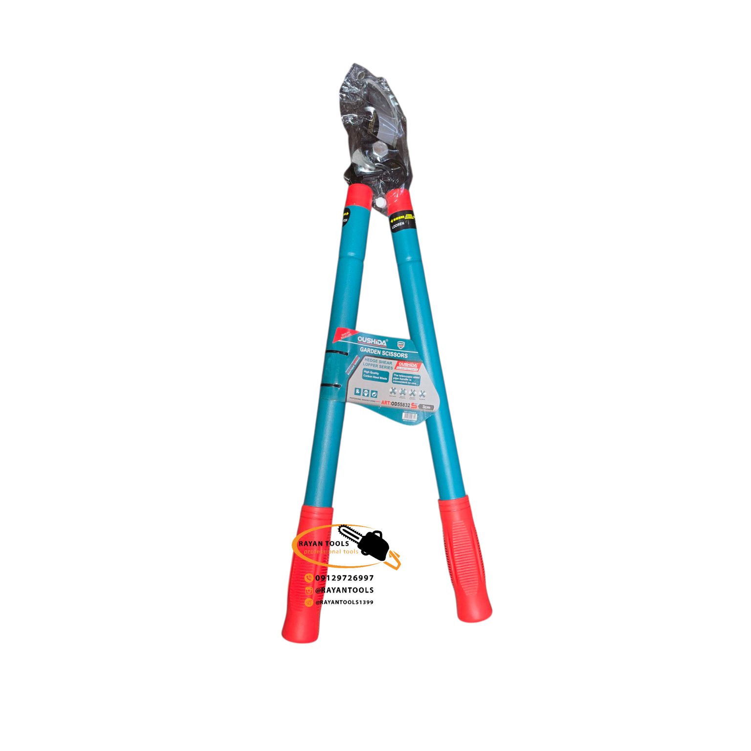 InShot_20251215_231651405