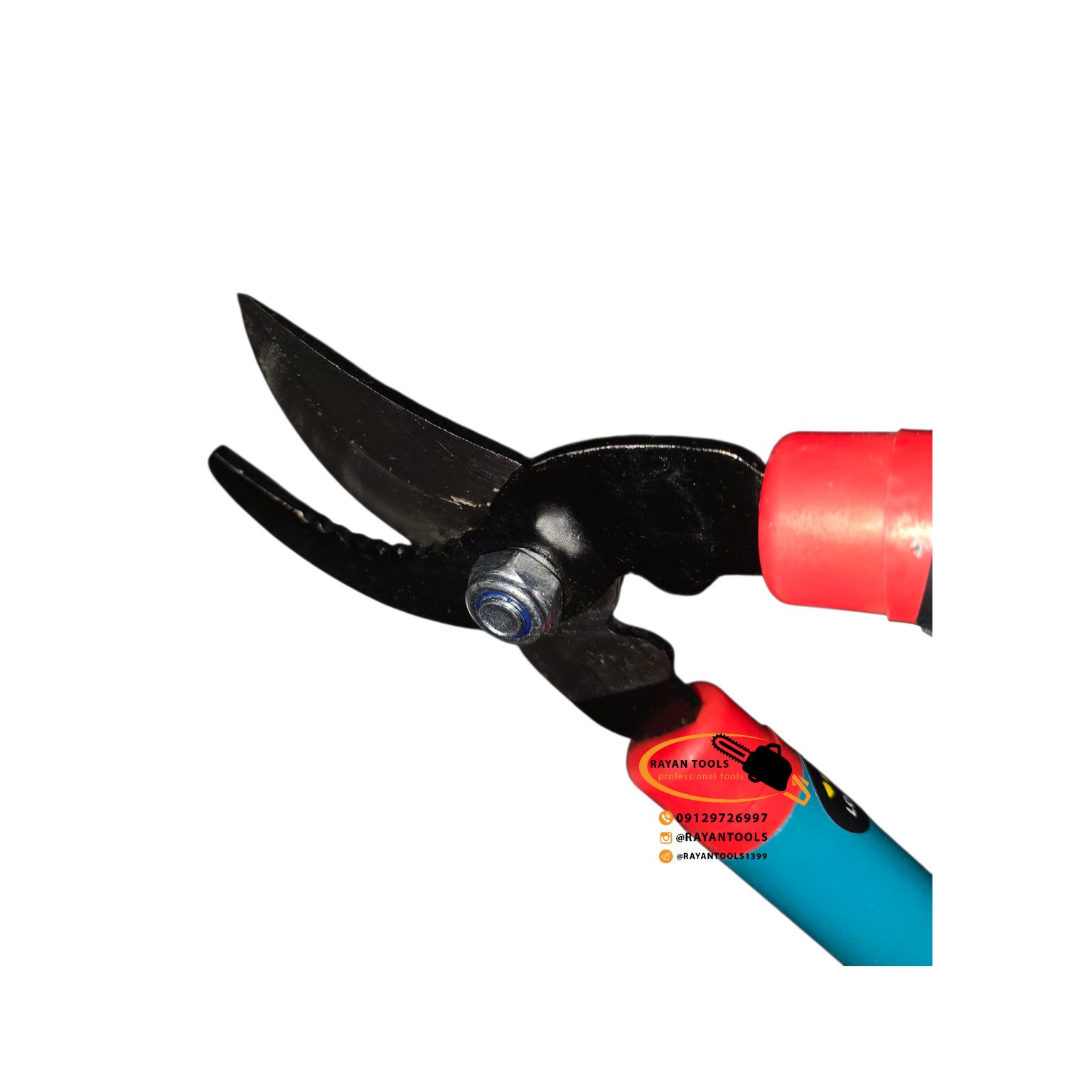 InShot_20251215_231742355