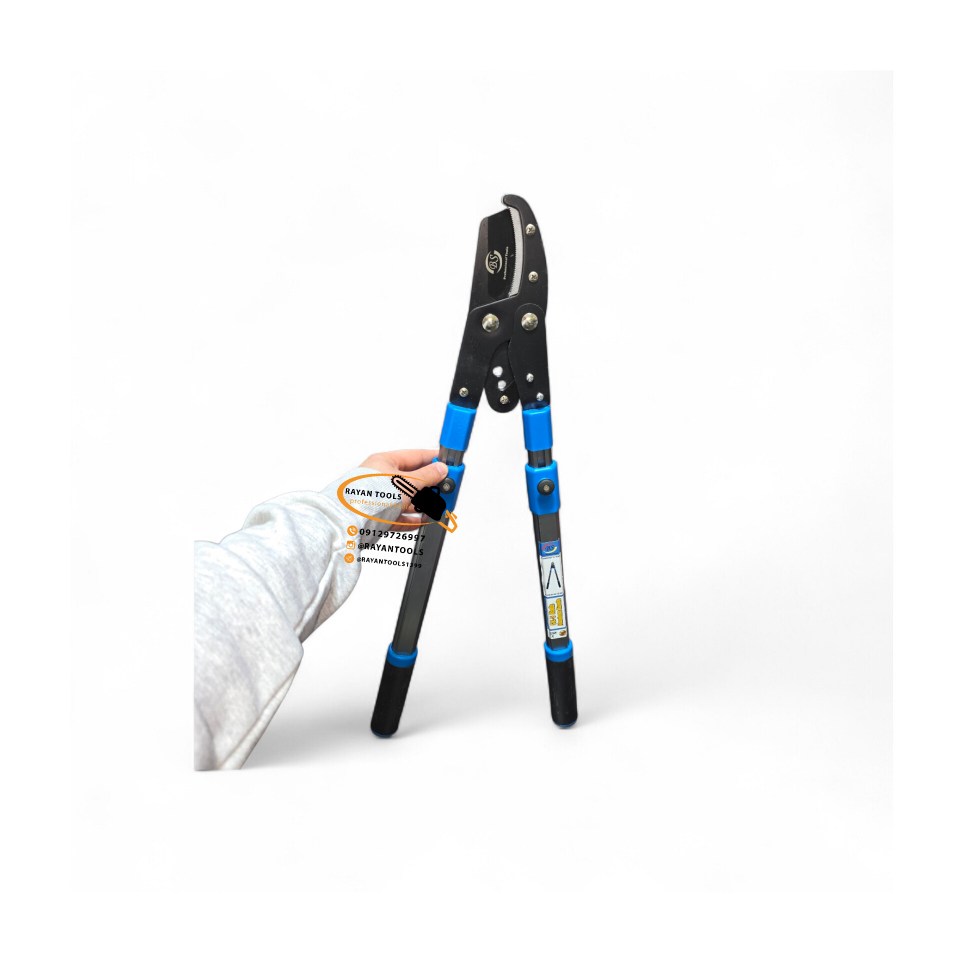 InShot_20260215_201912118