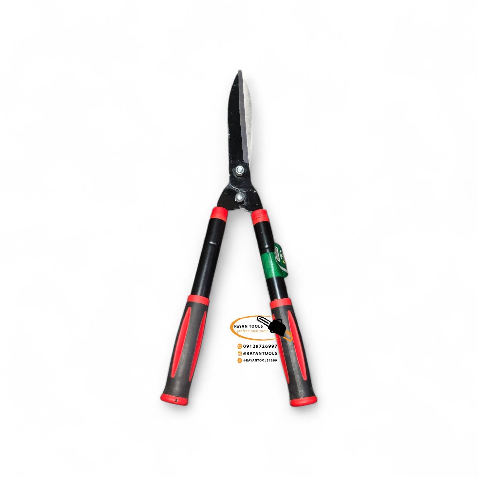 InShot_20260216_093212149